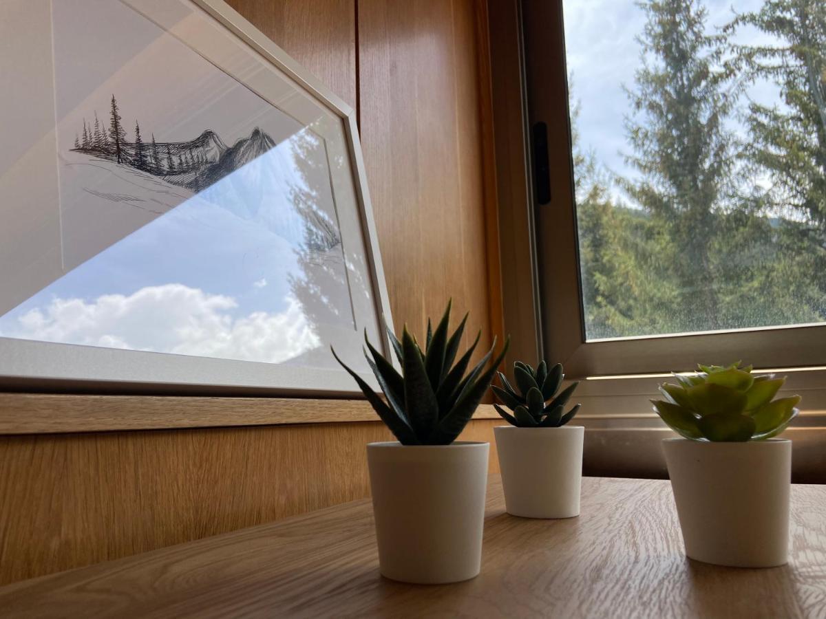 Apartamento Duplex En La Molina 阿尔普 外观 照片